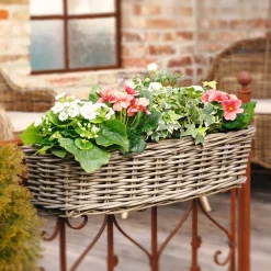 Herbstgarten|Pflanzkörbe|Frank Handels GmbH & Co. KG Balkonpflanzer "Rattan", groß