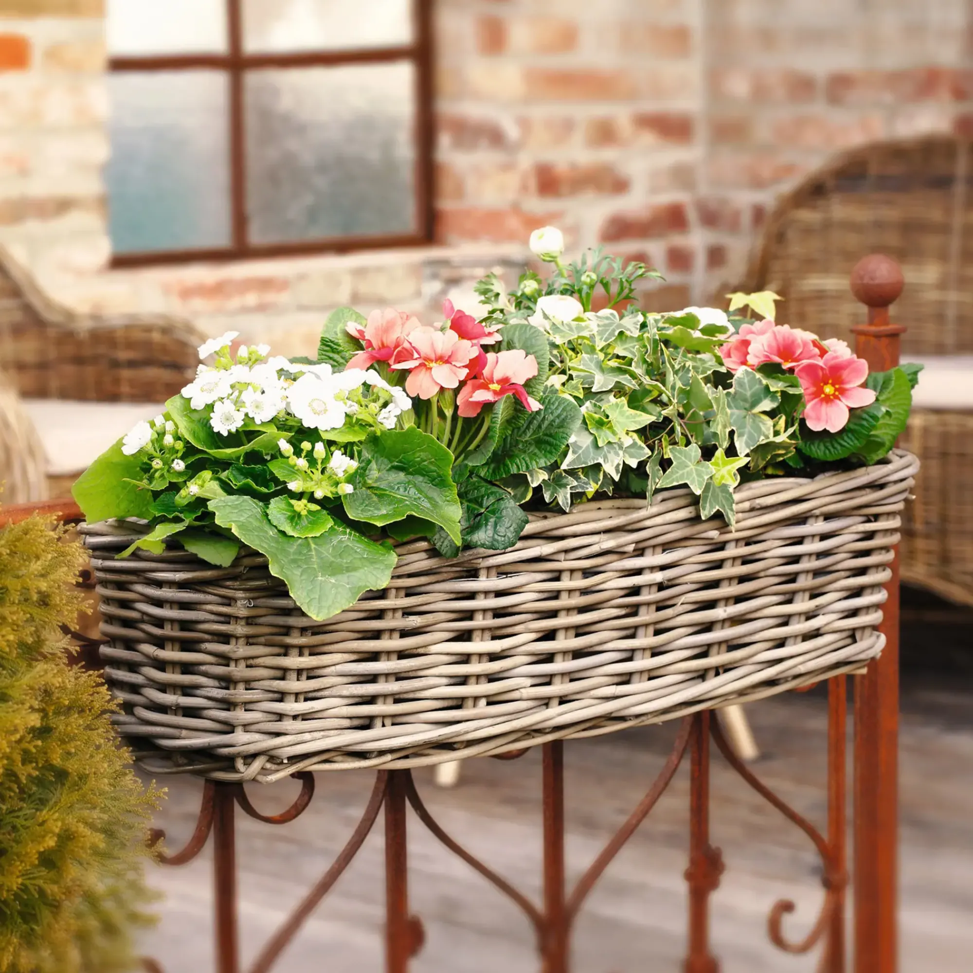 Herbstgarten|Pflanzkörbe|Frank Handels GmbH & Co. KG Balkonpflanzer "Rattan", groß