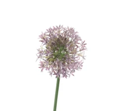 Kunstpflanzen|Frank Handels GmbH & Co. KG Blume "Allium"