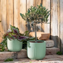 Pflanztöpfe|Frank Handels GmbH & Co. KG Blumentopf "Salbei", 2er Set