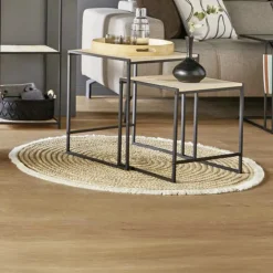 Wohnzimmer|Flur|Frank Handels GmbH & Co. KG Bodenmatte "Circulo"