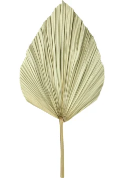 Badezimmer|Wanddeko|Frank Handels GmbH & Co. KG Dekoblatt "Palme", 2er Set