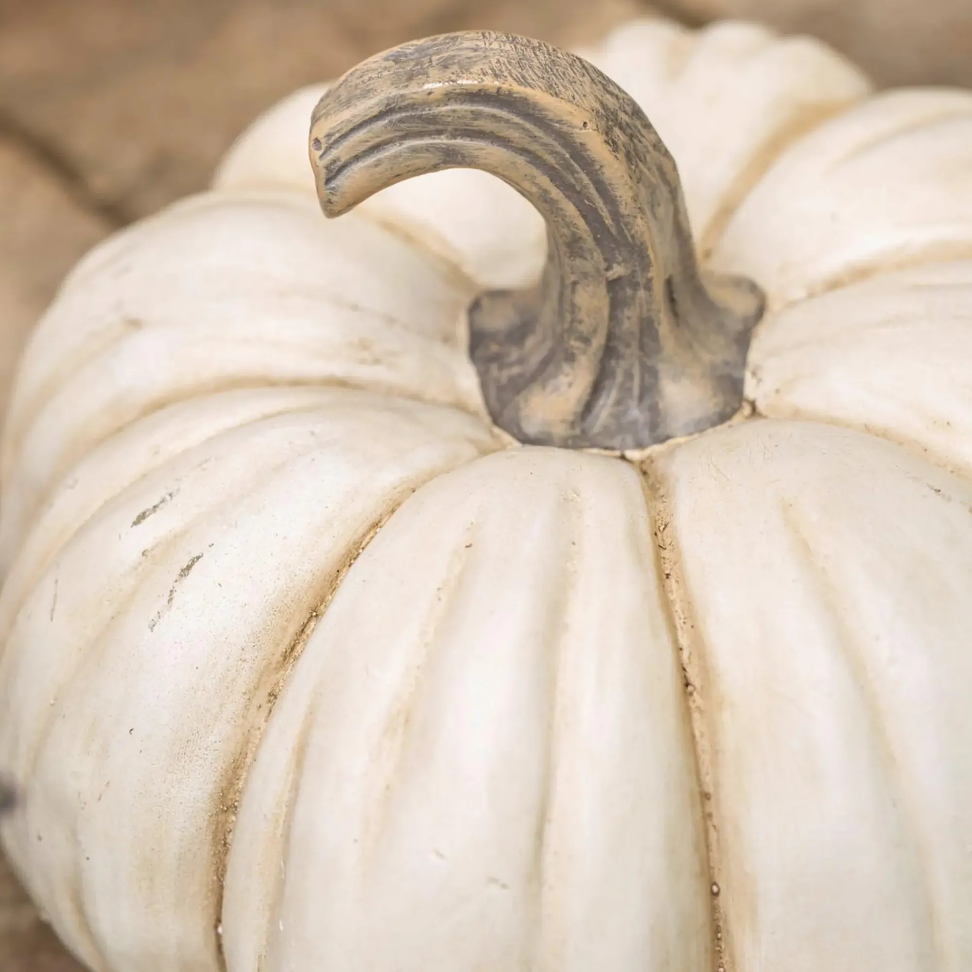 Dekokürbisse|Frank Handels GmbH & Co. KG Deko-Kürbis "White Pumpkin"