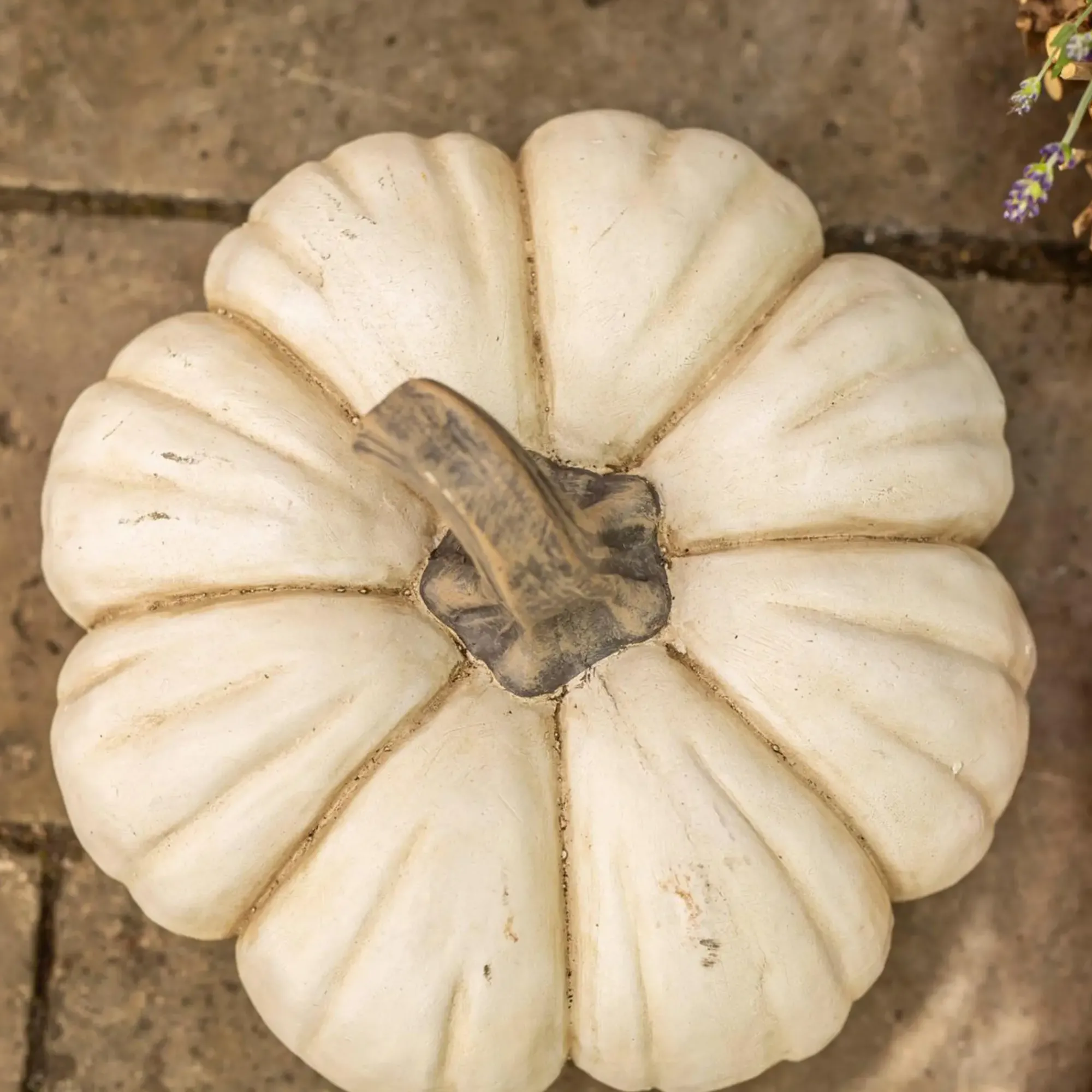 Dekokürbisse|Frank Handels GmbH & Co. KG Deko-Kürbis "White Pumpkin"