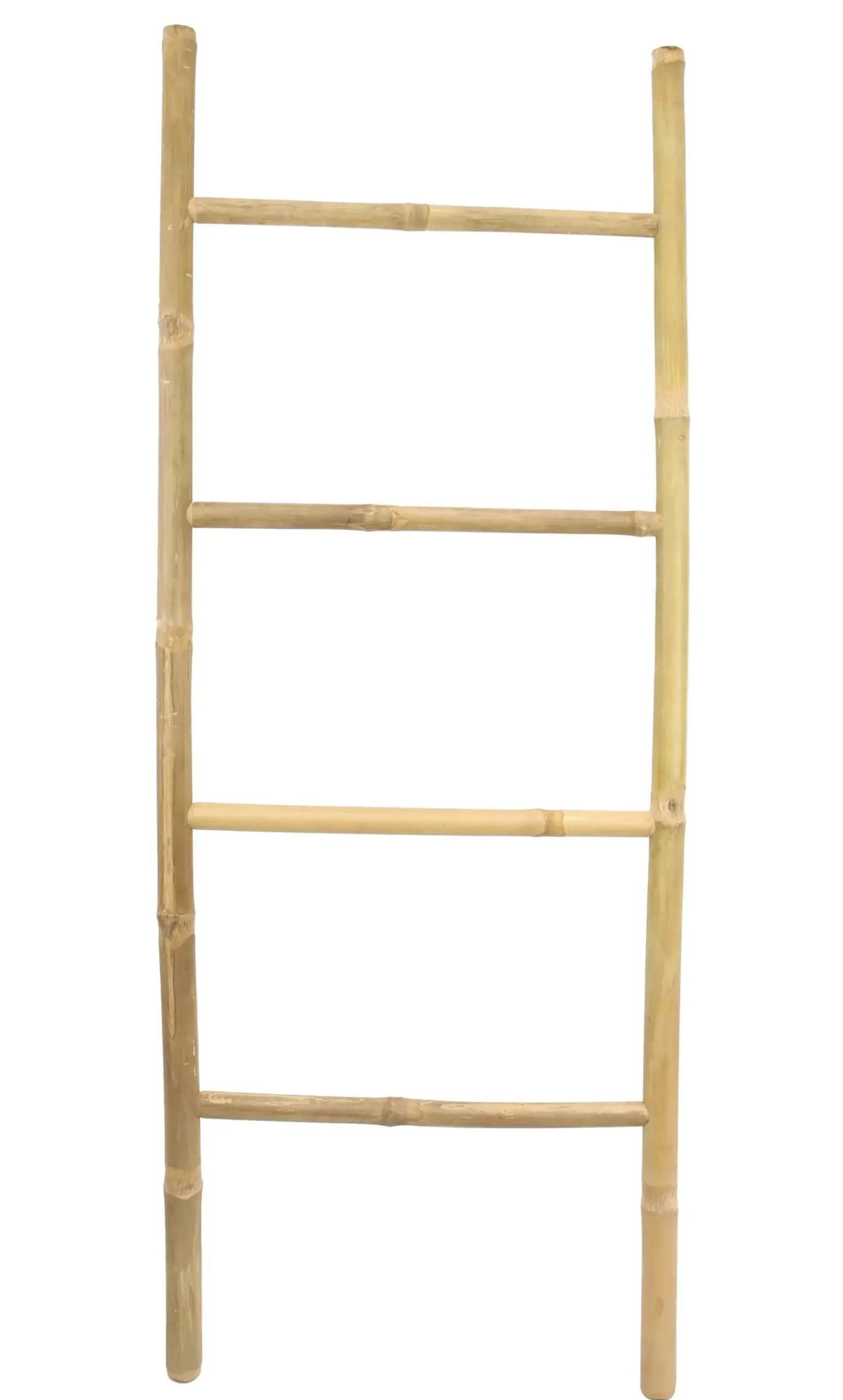 Badezimmer|Frank Handels GmbH & Co. KG Dekoleiter "Tropical"