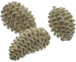 Herbstliche Streuer & Stecker|Zubehör Für Adventskränze|Frank Handels GmbH & Co. KG Deko-Zapfen "Natural", 3er Set