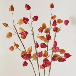 Kunstpflanzen|Frank Handels GmbH & Co. KG Deko-Zweig "Physalis", 2er Set