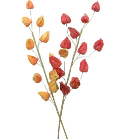 Kunstpflanzen|Frank Handels GmbH & Co. KG Deko-Zweig "Physalis", 2er Set