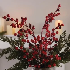 Zubehör Für Adventskränze|Kunstpflanzen|Frank Handels GmbH & Co. KG Deko-Zweig "Rote Beeren", 2er Set