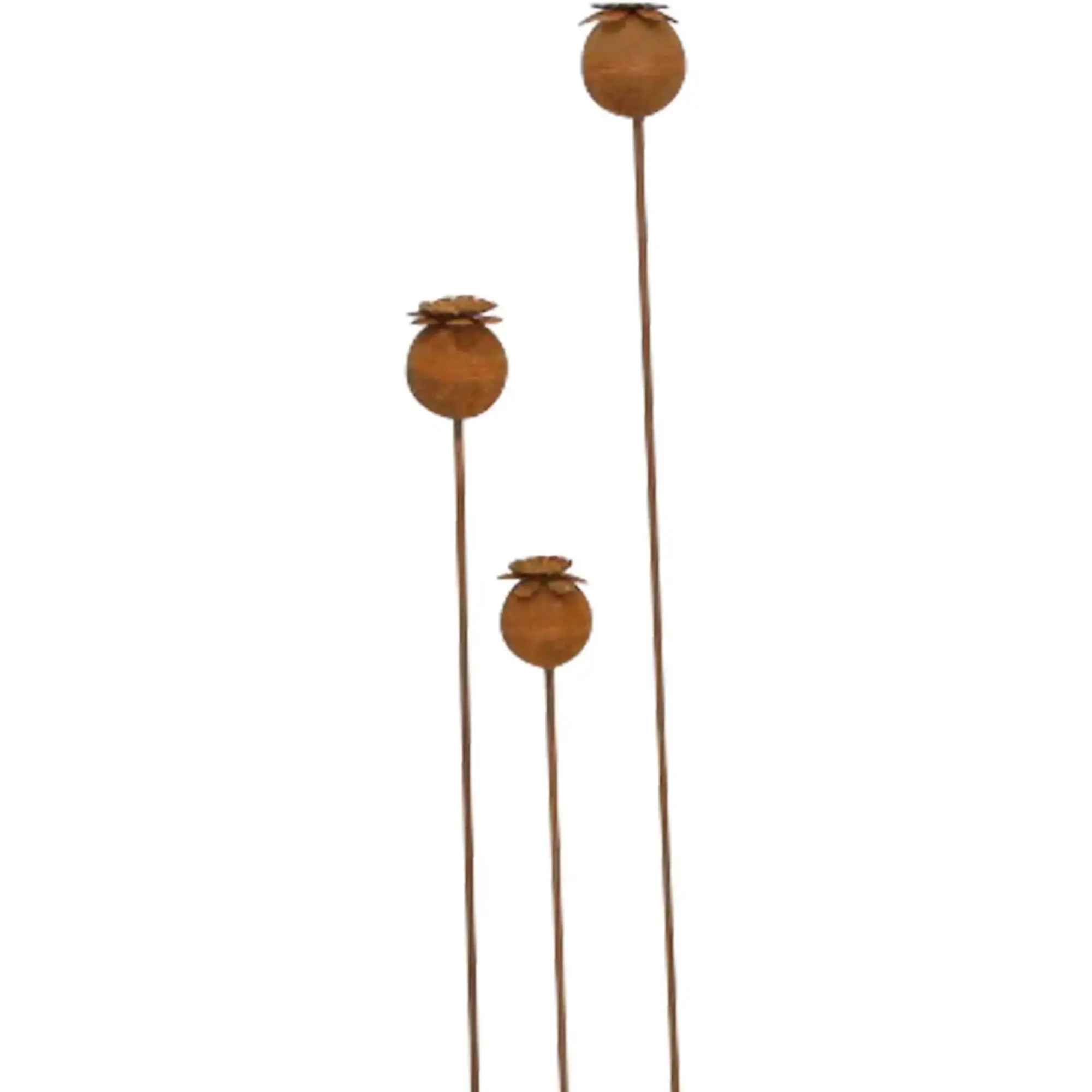 Gartenstecker|Frank Handels GmbH & Co. KG Gartenstecker "Mohn", 3er Set
