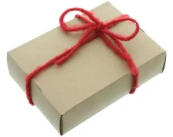 Herbstgarten|Geschenktaschen & -Säckchen|Frank Handels GmbH & Co. KG Geschenkband 