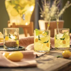 Geschirr|Küche|Frank Handels GmbH & Co. KG Glas