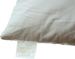 Kissen & Innenkissen|Schlafzimmer|Frank Handels GmbH & Co. KG Innenkissen mit Federfüllung, 40 x 40 cm
