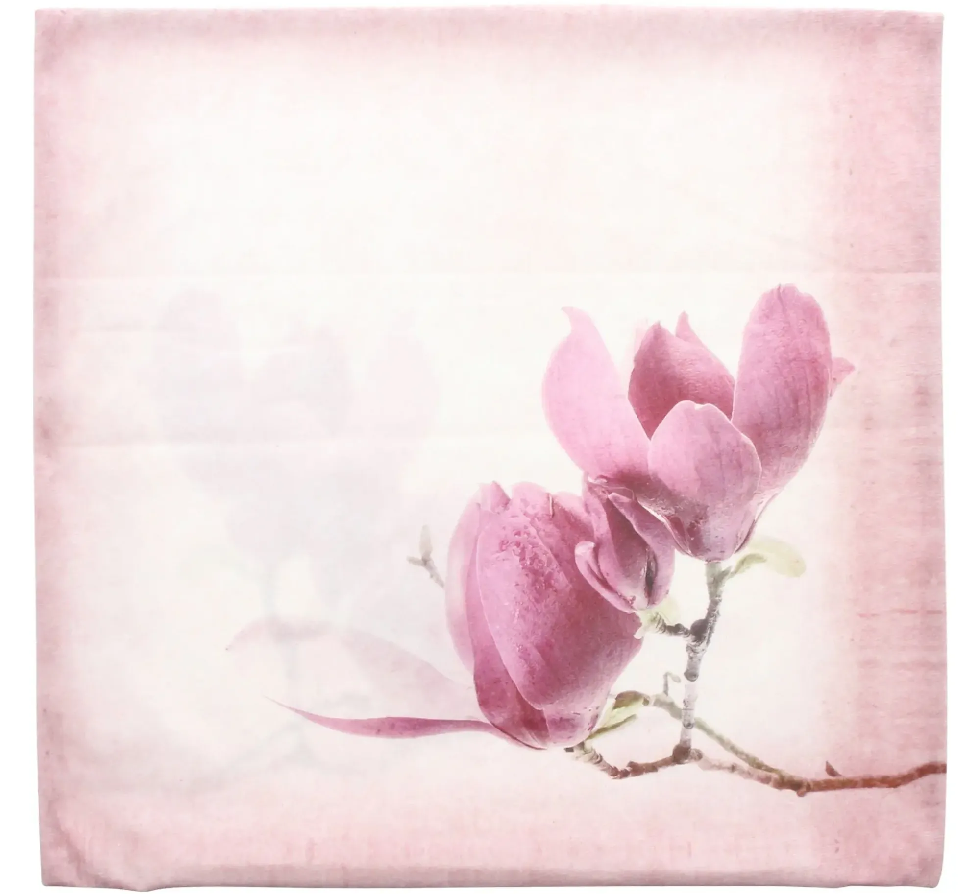 Kissenhüllen|Frank Handels GmbH & Co. KG Kissenhülle "Tulpenmagnolie"