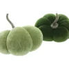 Dekokürbisse|Frank Handels GmbH & Co. KG Kürbis "Green", 2er Set