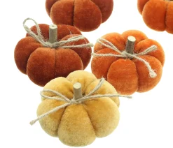 Dekokürbisse|Frank Handels GmbH & Co. KG Kürbis "Herbstfarben", 6er Set