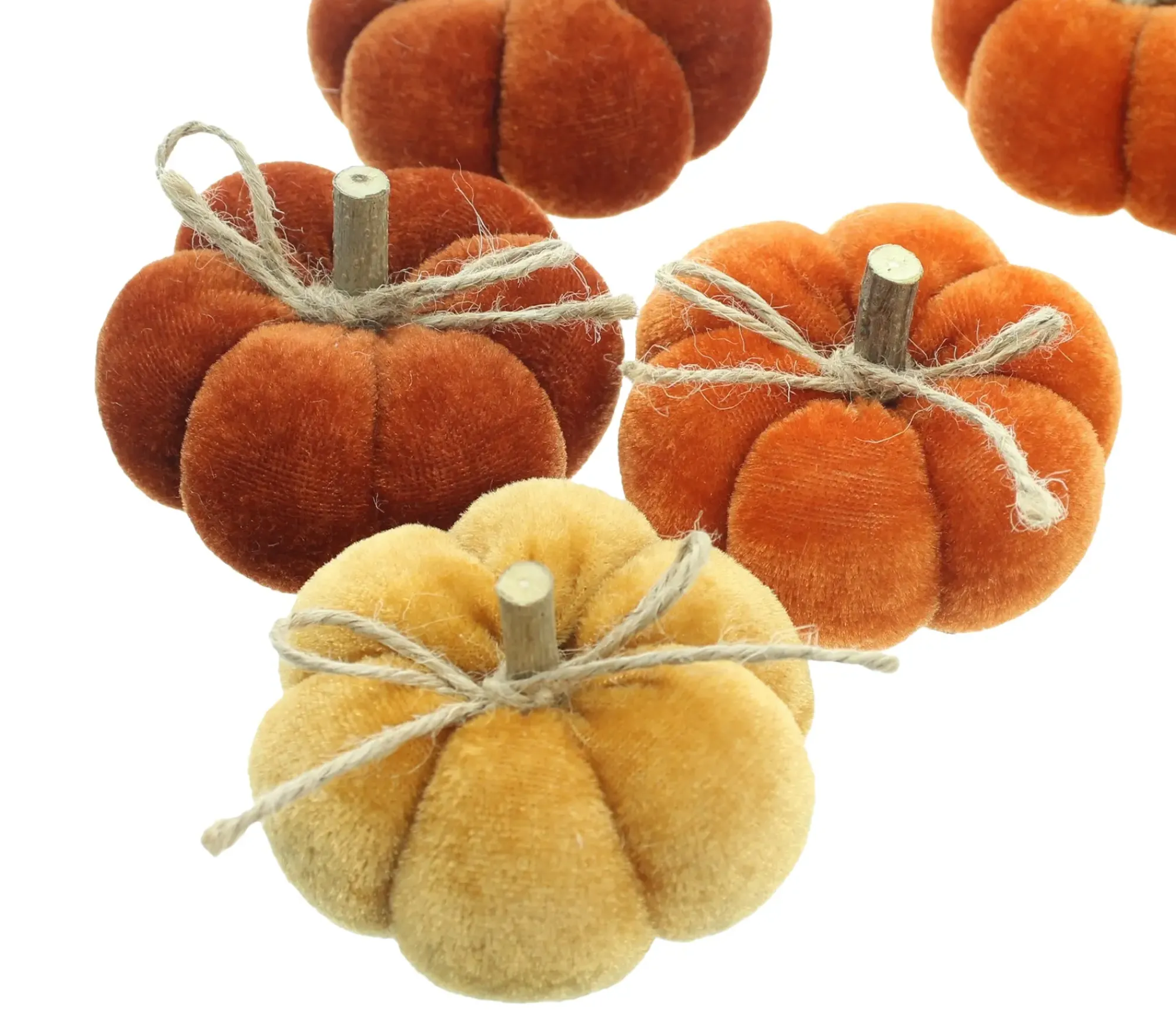 Dekokürbisse|Frank Handels GmbH & Co. KG Kürbis "Herbstfarben", 6er Set