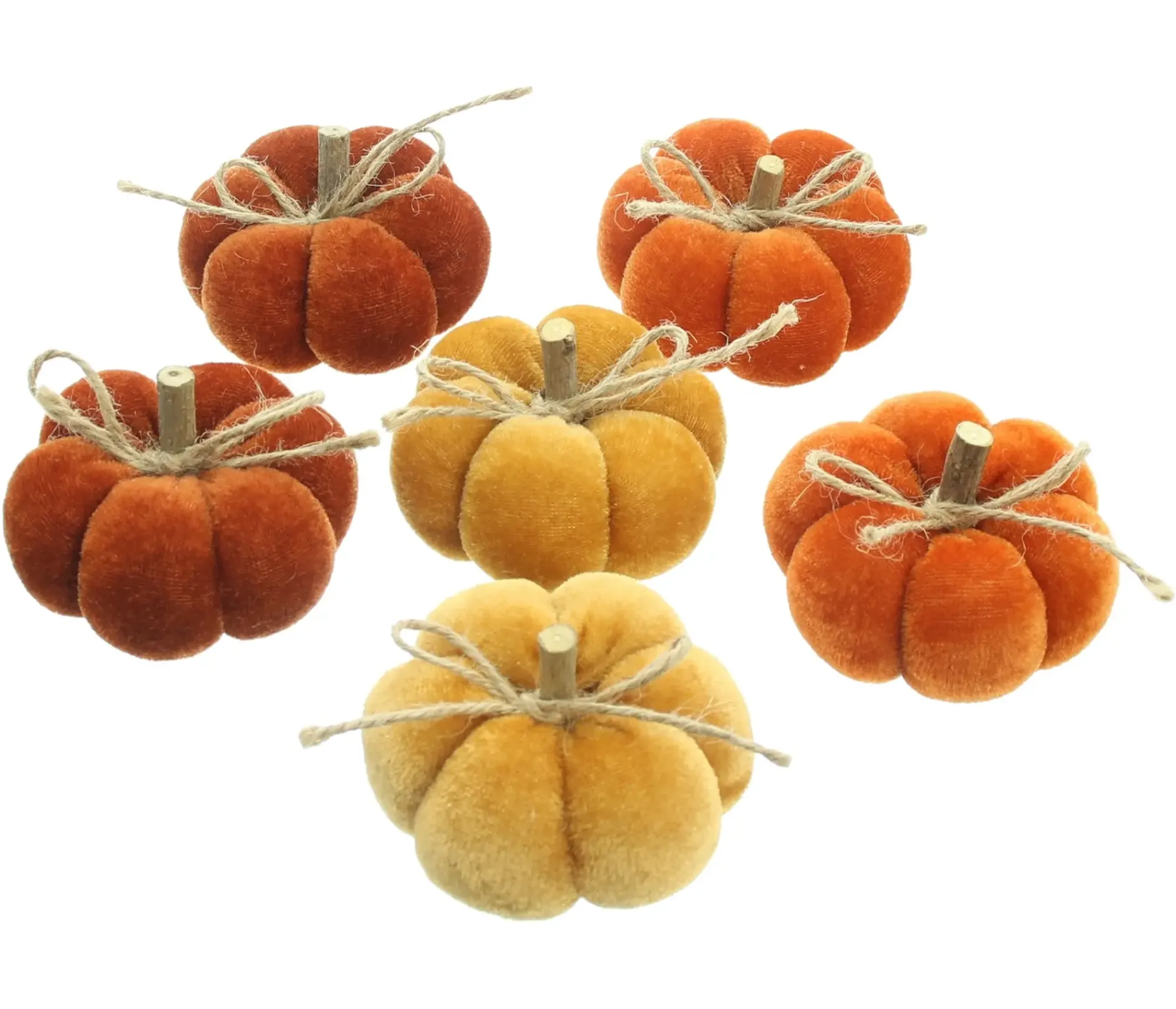 Dekokürbisse|Frank Handels GmbH & Co. KG Kürbis "Herbstfarben", 6er Set
