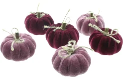 Dekokürbisse|Frank Handels GmbH & Co. KG Kürbis "Purple Mix", 6er Set
