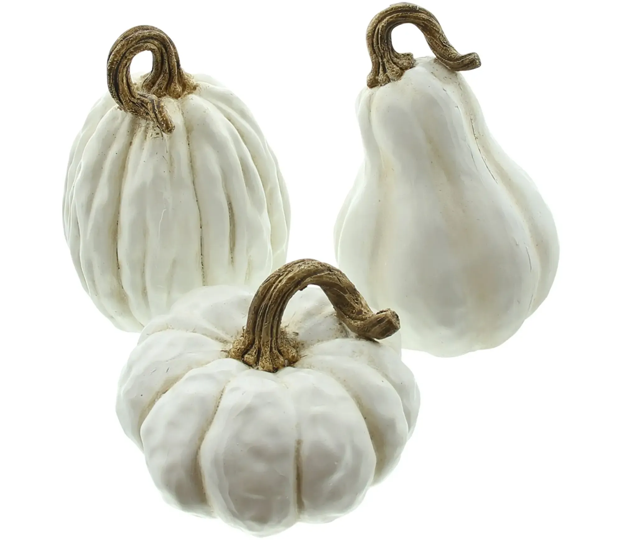 Dekokürbisse|Frank Handels GmbH & Co. KG Kürbis "White", 3er Set