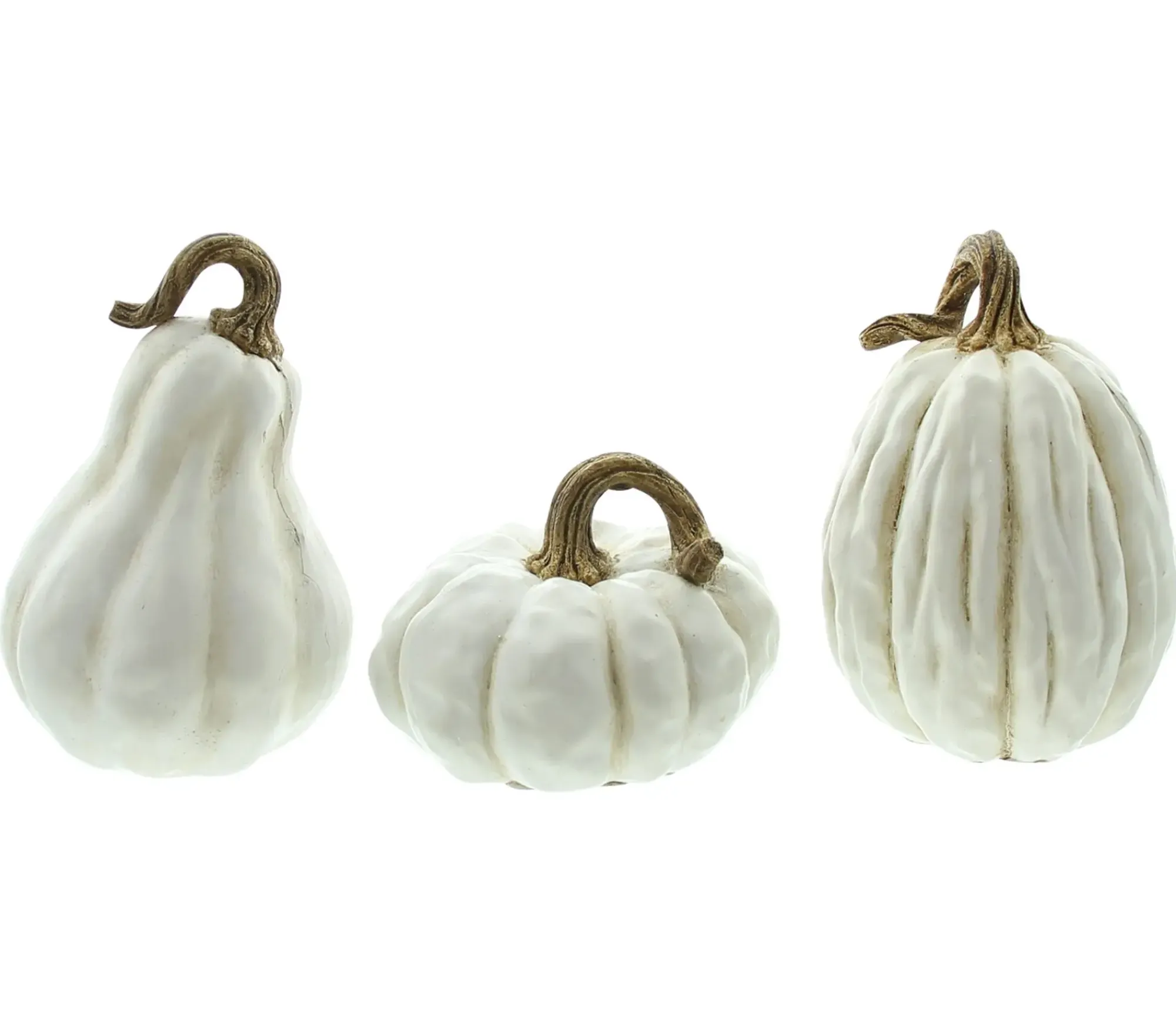 Dekokürbisse|Frank Handels GmbH & Co. KG Kürbis "White", 3er Set