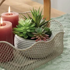 Kunstpflanzen|Frank Handels GmbH & Co. KG Kunstpflanze 