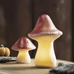 Dekopilze|Herbstliche Led-Leuchtdeko|Frank Handels GmbH & Co. KG LED-Deko 