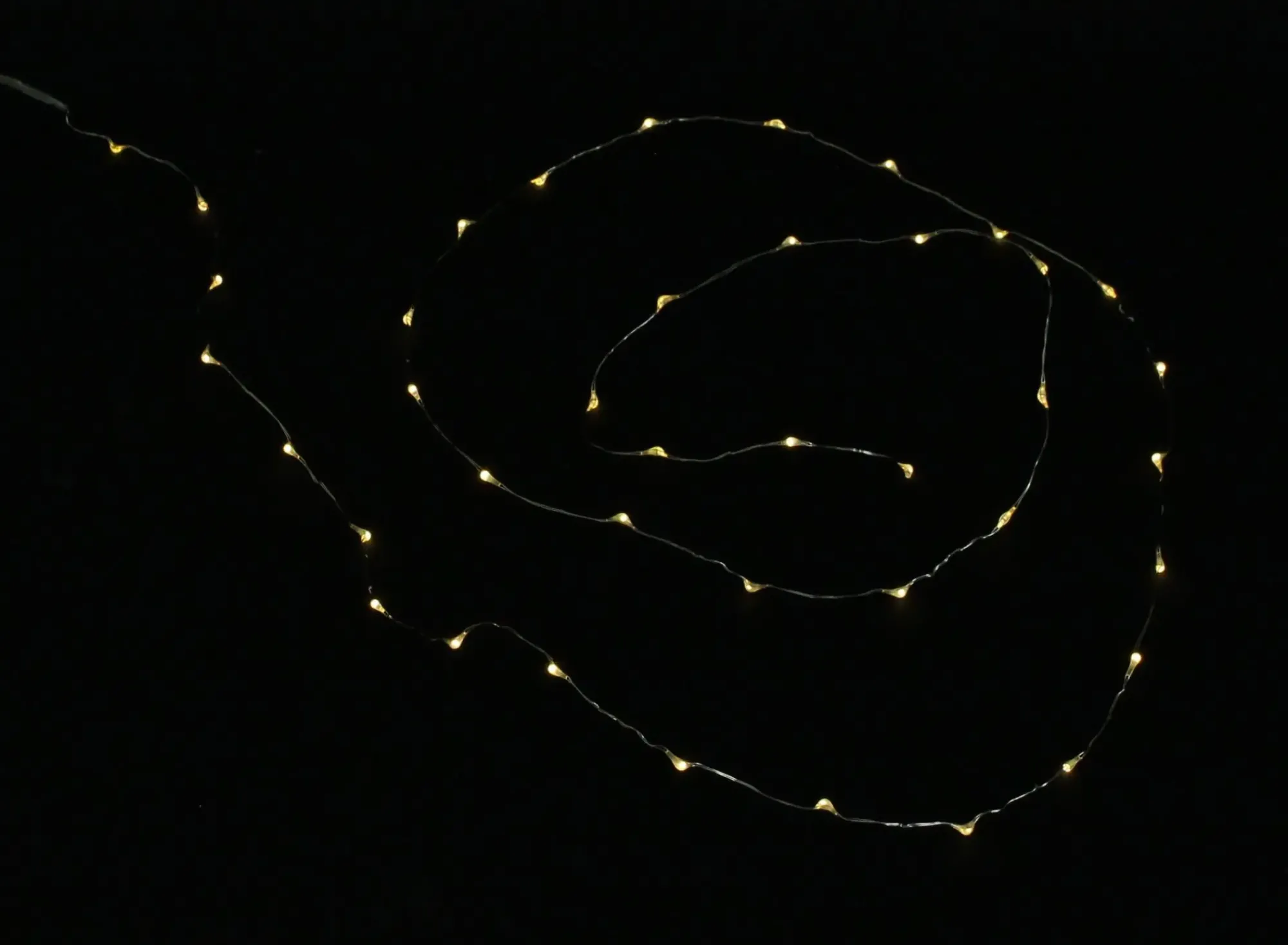 Herbstgarten|Led-Lichterketten|Frank Handels GmbH & Co. KG LED-Leuchtdraht "Specialeffect", 40 Lichter