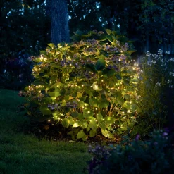 Led-Lichterketten|Gartenbeleuchtung|Frank Handels GmbH & Co. KG LED-Lichterkette