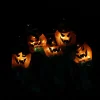 Herbstgarten|Herbstliche Led-Leuchtdeko|Frank Handels GmbH & Co. KG LED-Lichterkette "Halloween"