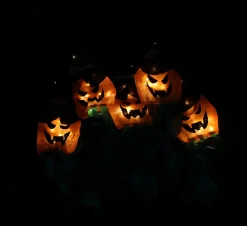 Herbstgarten|Herbstliche Led-Leuchtdeko|Frank Handels GmbH & Co. KG LED-Lichterkette "Halloween"