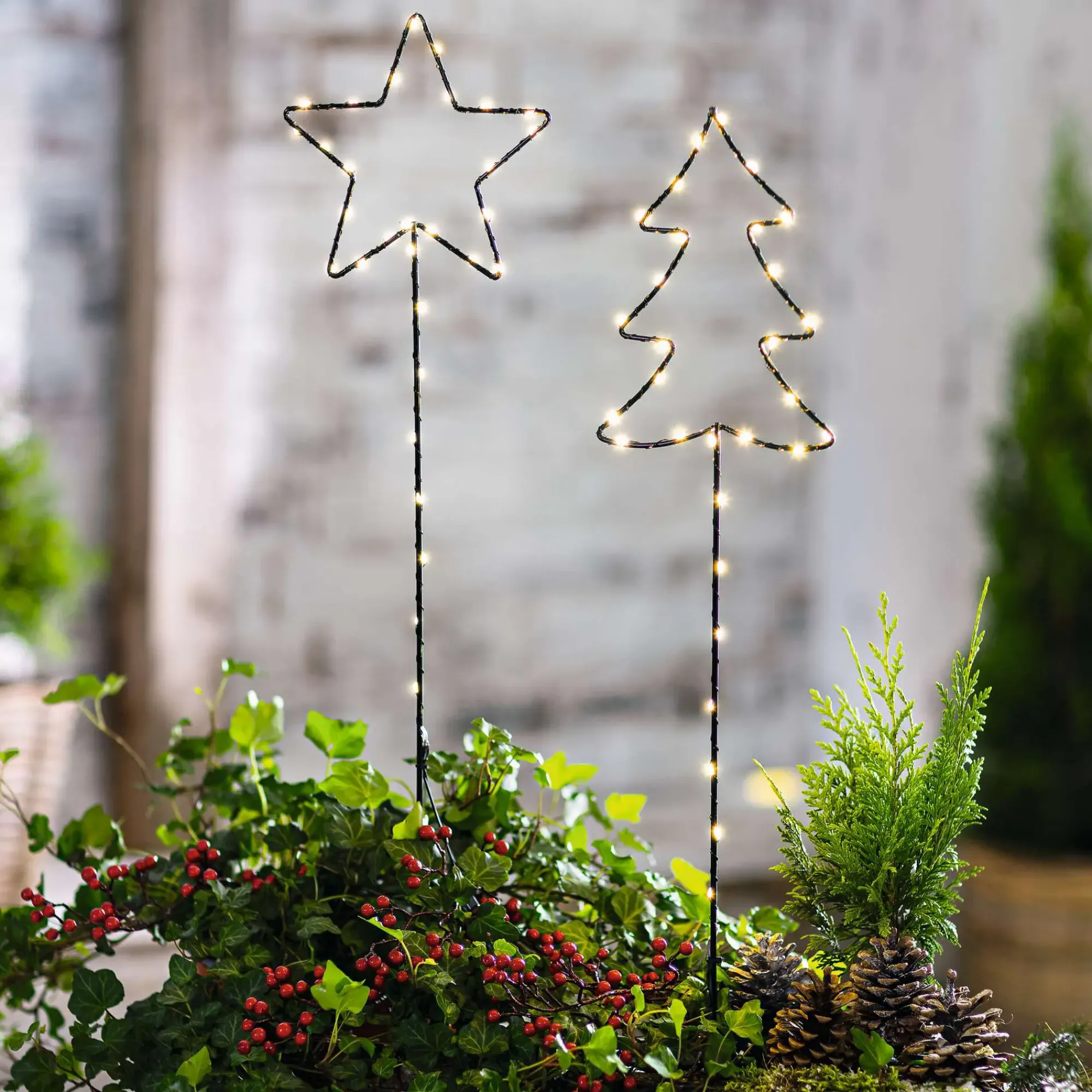 Gartenbeleuchtung|Weihnachtliche Streuer & Stecker|Frank Handels GmbH & Co. KG LED-Stecker "Tanne & Stern", 2er Set