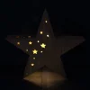 Gartenbeleuchtung|Weihnachtliche Gartendeko|Frank Handels GmbH & Co. KG LED-Stern "Lichtermeer"
