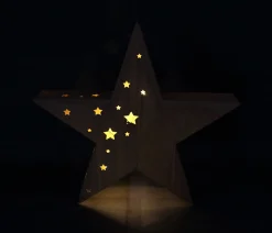 Gartenbeleuchtung|Weihnachtliche Gartendeko|Frank Handels GmbH & Co. KG LED-Stern "Lichtermeer"