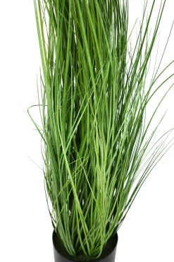 Kunstpflanzen|Frank Handels GmbH & Co. KG Pflanze "Gras"