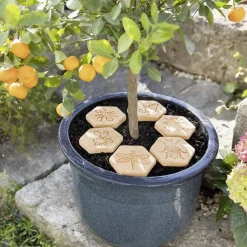 Pflanzkörbe|Pflanzkörbe|Frank Handels GmbH & Co. KG Pflanzenverdunstungsschutz "Gartenliebe", 6er Set
