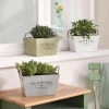 Pflanztöpfe|Frank Handels GmbH & Co. KG Pflanzer "Flowers & Plants", 3er Set