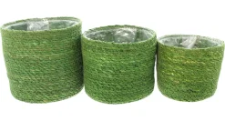 Pflanzkörbe|Pflanzkörbe|Frank Handels GmbH & Co. KG Pflanzkorb "Green", 3er Set