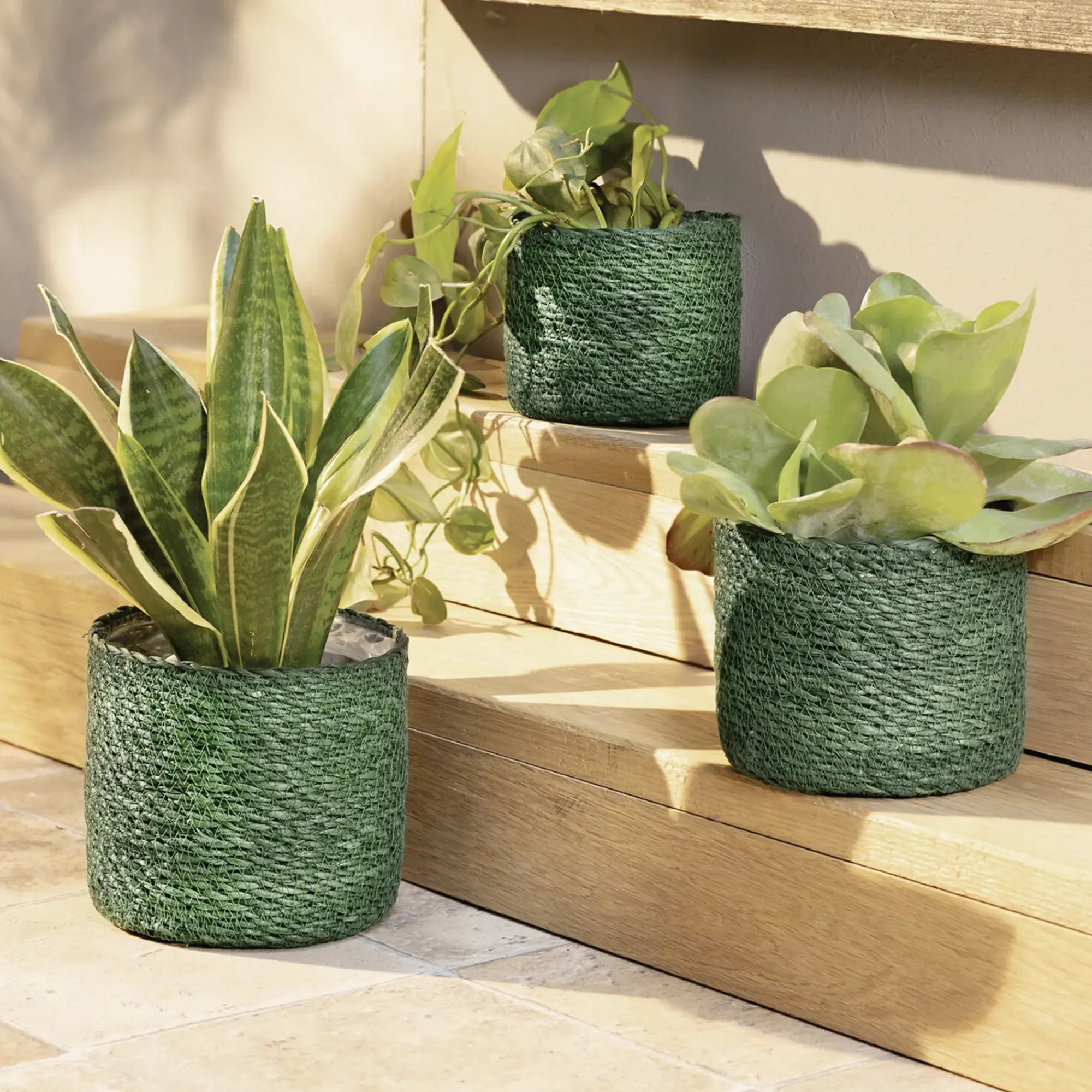 Pflanzkörbe|Pflanzkörbe|Frank Handels GmbH & Co. KG Pflanzkorb "Green", 3er Set