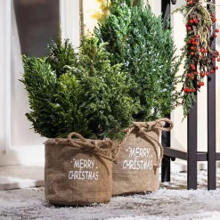 Weihnachtliche Pflanzer|Frank Handels GmbH & Co. KG Pflanzkorb "Merry Christmas", 2er Set