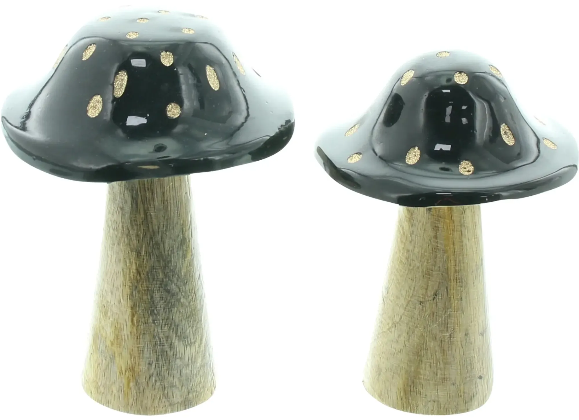 Dekopilze|Frank Handels GmbH & Co. KG Pilz "Blacky", 2er Set