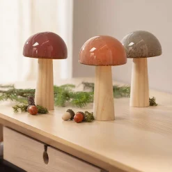 Dekopilze|Frank Handels GmbH & Co. KG Pilz "Glossy", 3er Set