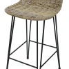 Sessel & Stühle|Küche|Frank Handels GmbH & Co. KG Rattanbarstuhl "Modern Line"
