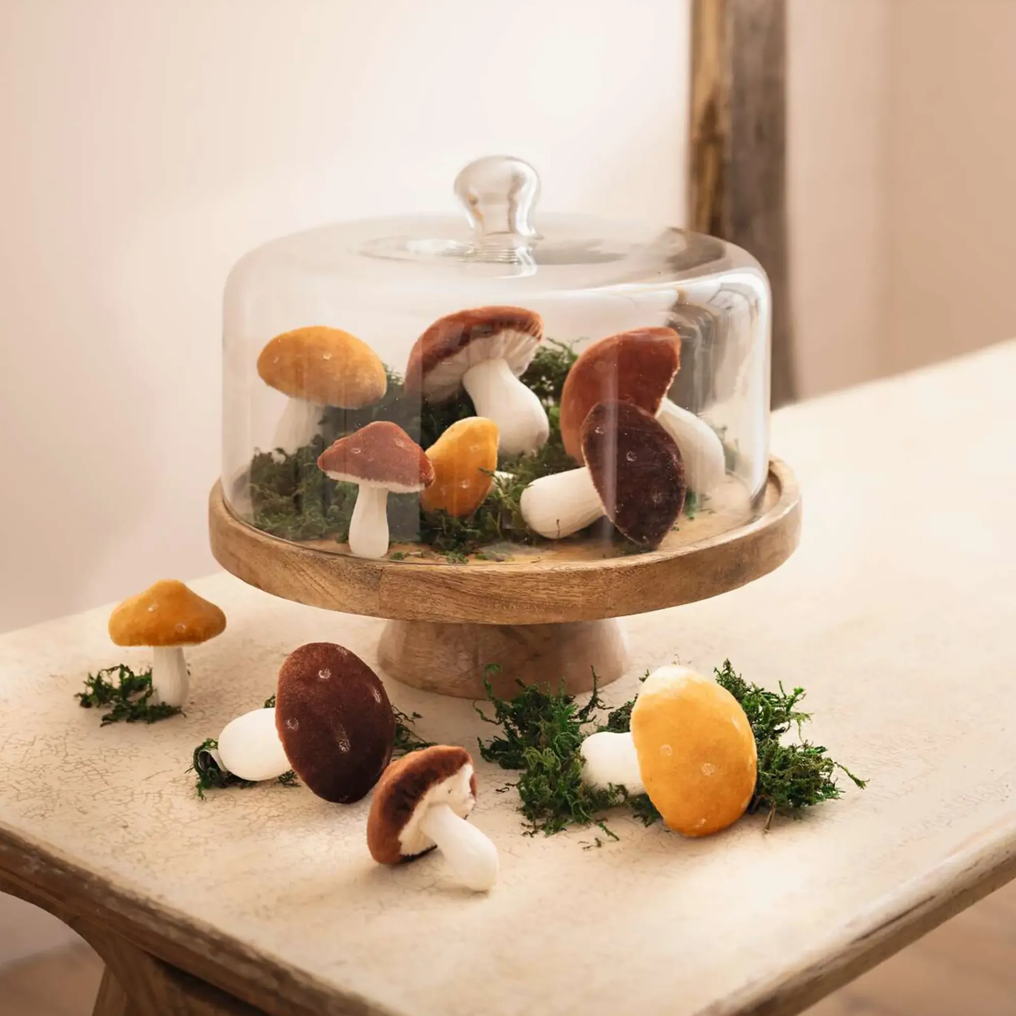 Küche|Esszimmer|Frank Handels GmbH & Co. KG Servierplatte "Mangoholz" mit Glasglocke