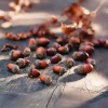 Herbstliche Streuer & Stecker|Frank Handels GmbH & Co. KG Streuer "Eicheln", 50 g