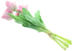 Kunstpflanzen|Frank Handels GmbH & Co. KG Tulpe 